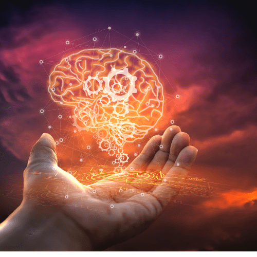 Genius Capacity - https://daisygenaldo.com