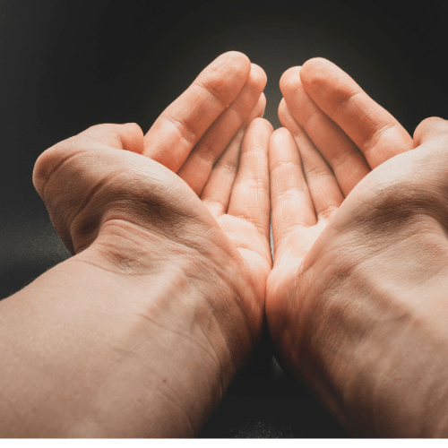 Live in abundance - https://daisygenaldo.com