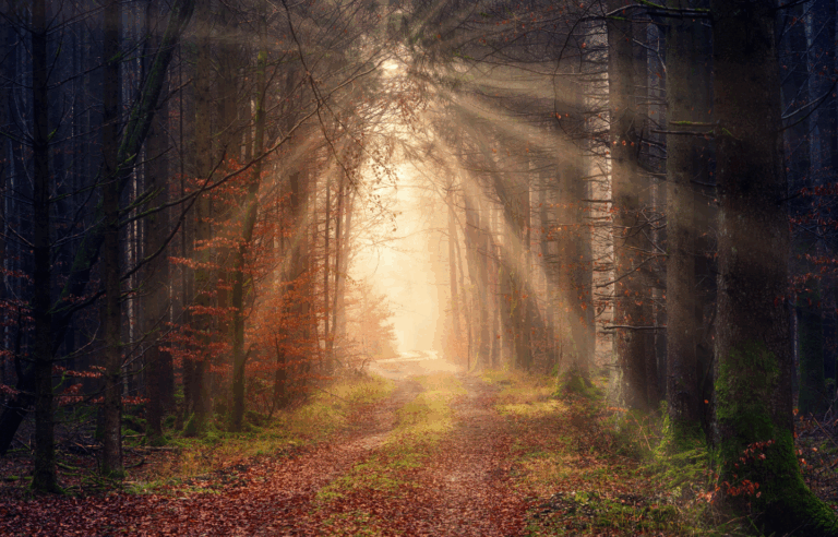 Path of Becoming - https://daisygenaldo.com